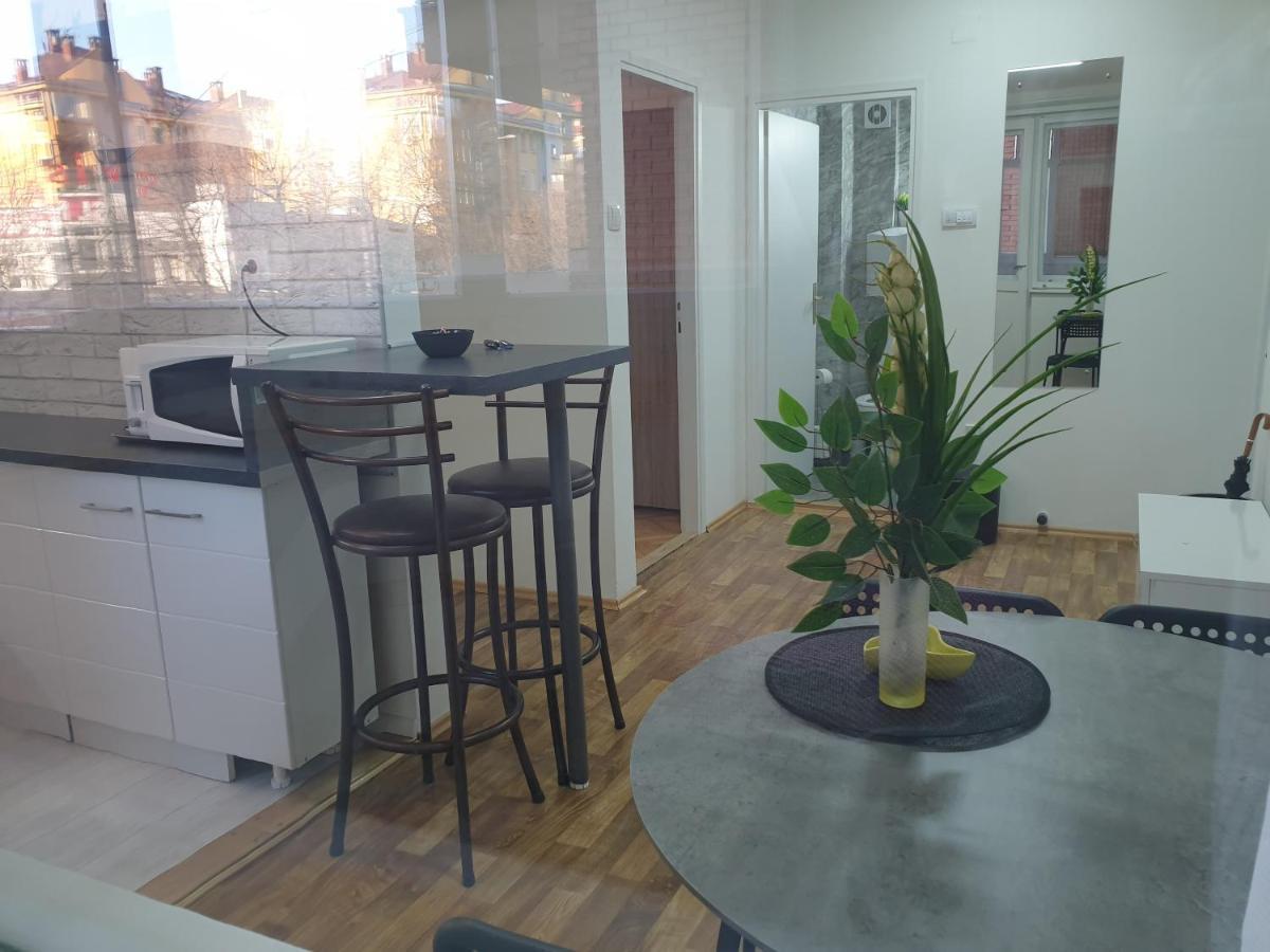 Despot Apartmani Ниш Екстер'єр фото
