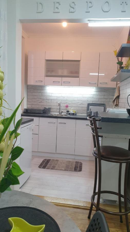 Despot Apartmani Ниш Екстер'єр фото
