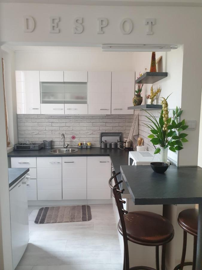 Despot Apartmani Ниш Екстер'єр фото