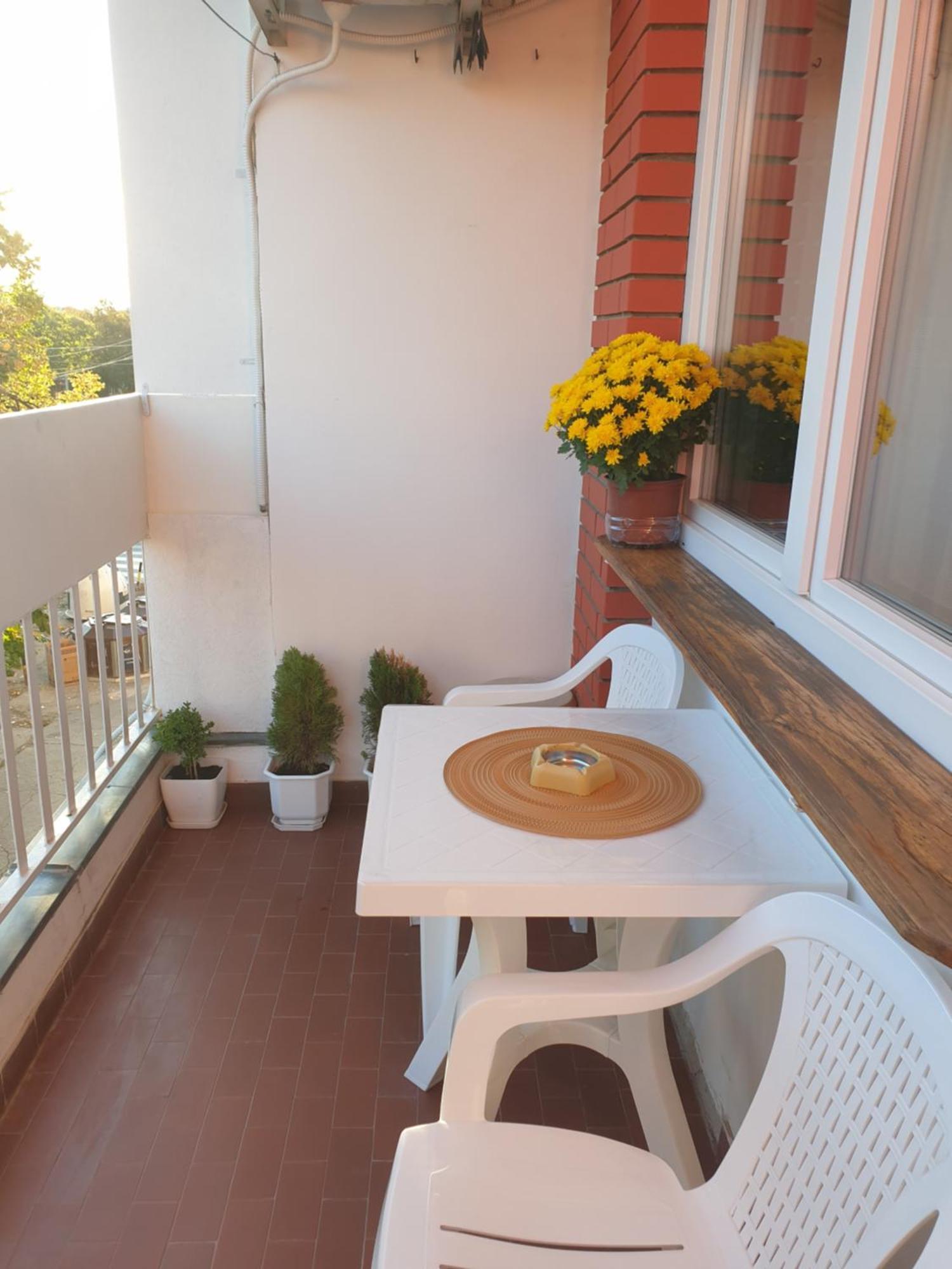 Despot Apartmani Ниш Екстер'єр фото