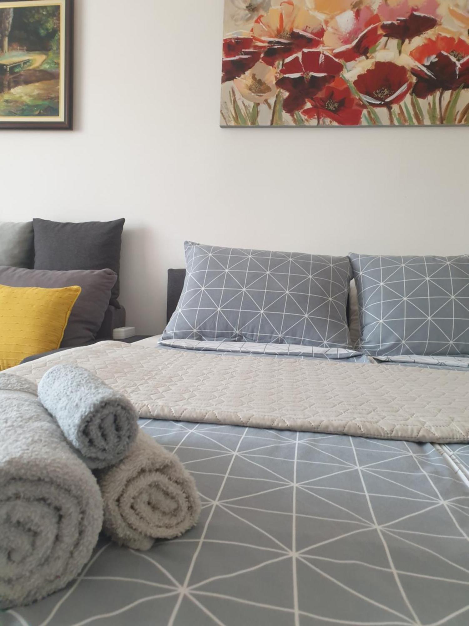 Despot Apartmani Ниш Екстер'єр фото