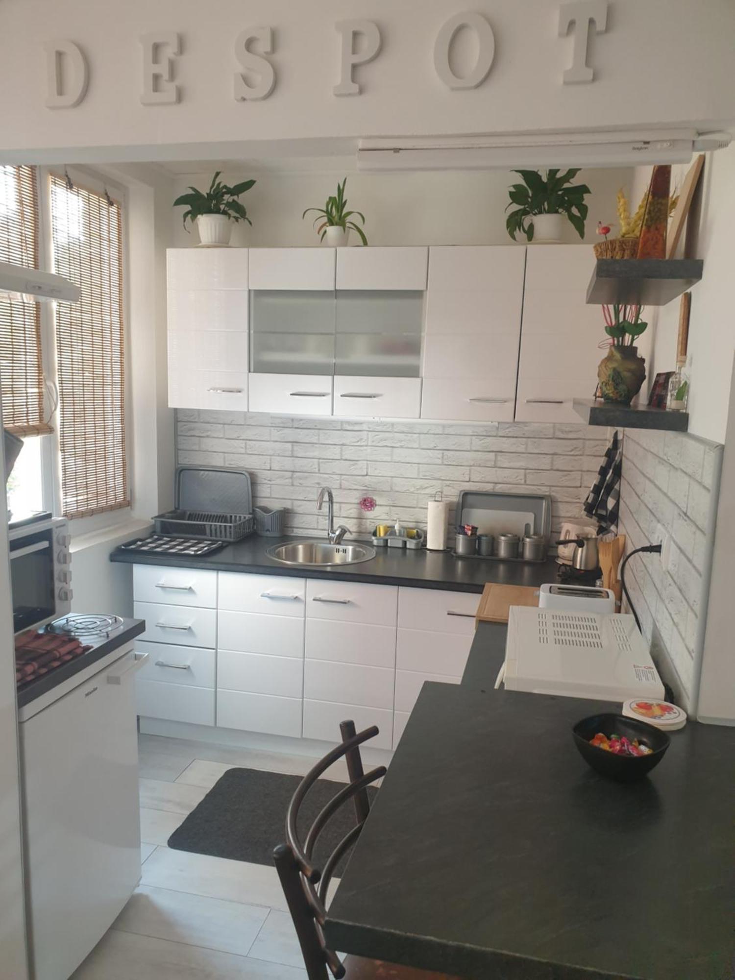 Despot Apartmani Ниш Екстер'єр фото